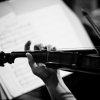 quartetto pegasox 12